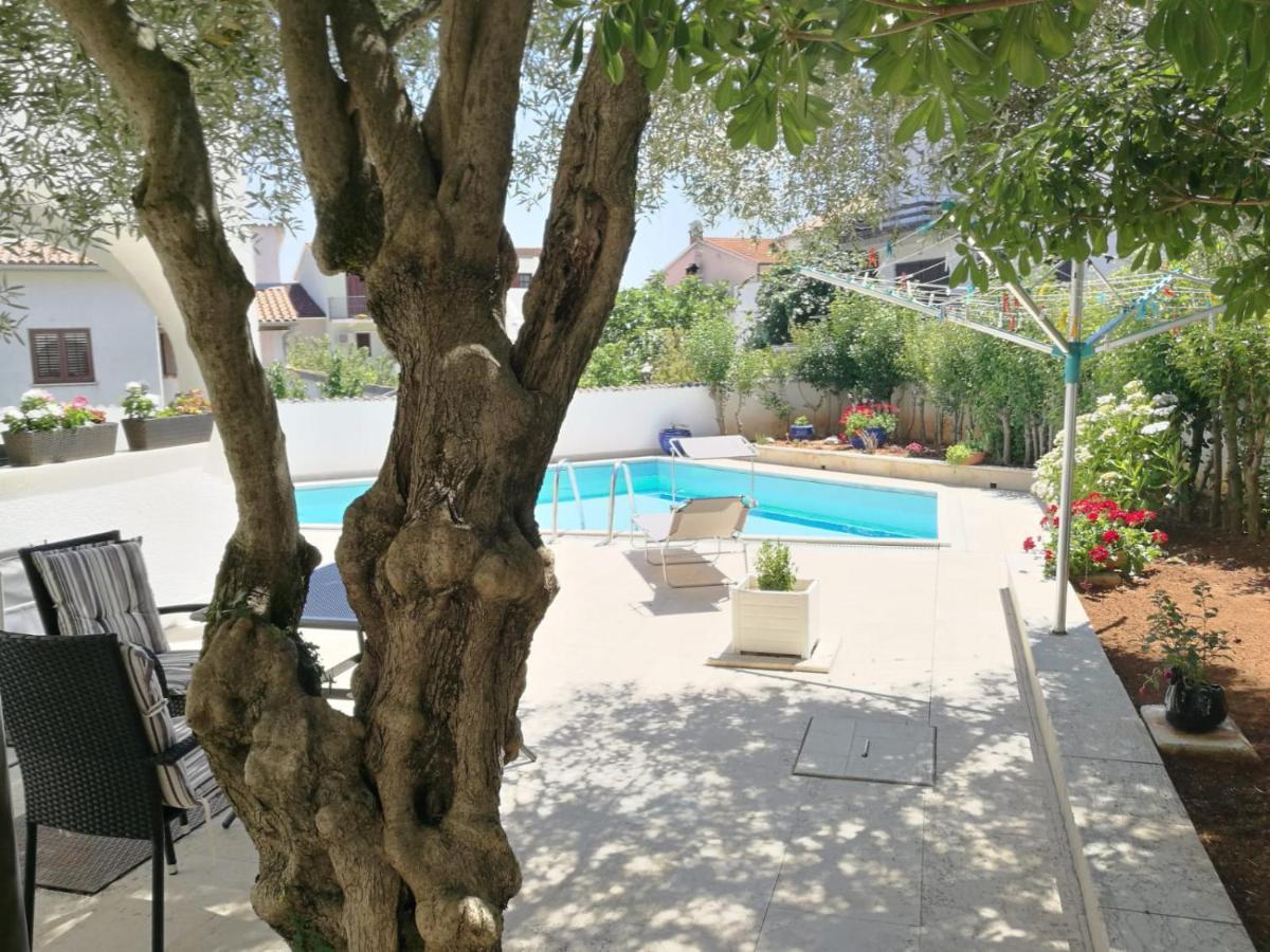Apartment Bozena 5