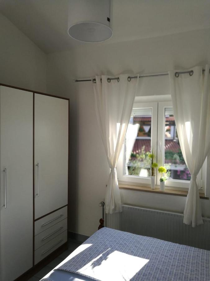 Bozena 5 *
